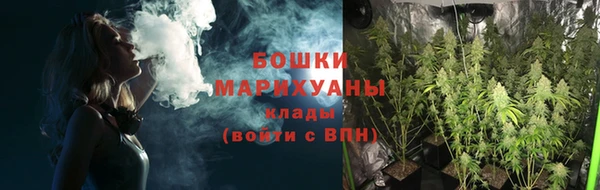гидра Приозерск
