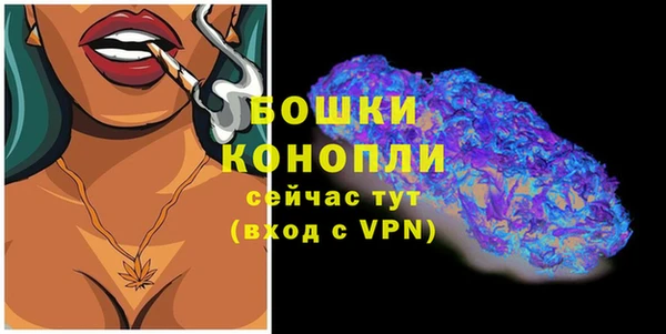 амф Вуктыл