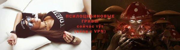 гидра Приозерск