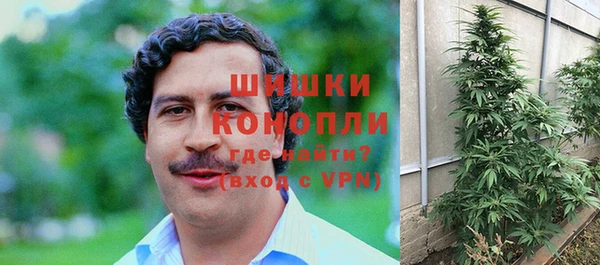 гидра Приозерск