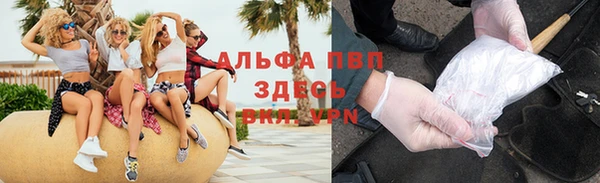 гидра Приозерск