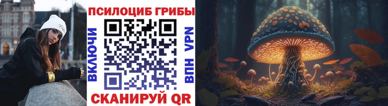Псилоцибиновые грибы мухоморы  Купить закладки  Качканар 